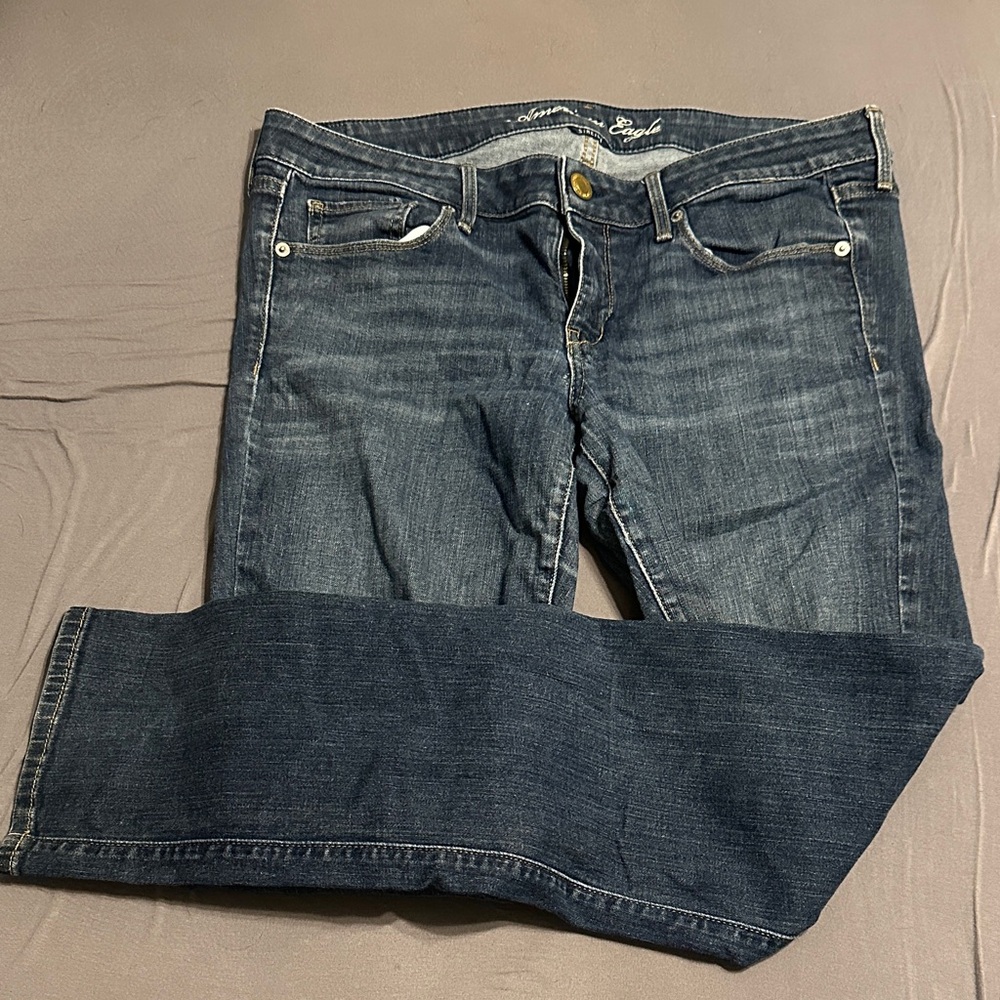 Lightly Used American Eagle Outfitters Indigo Skinny Jeans
